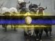 Bitcoin Price Reclaims $112K as Bull Market Sentiment Returns
