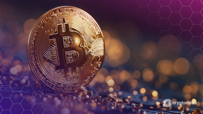 David Bailey Says Bitcoin Needs to Slay 'Two Massive Whales' Before Hitting $150K