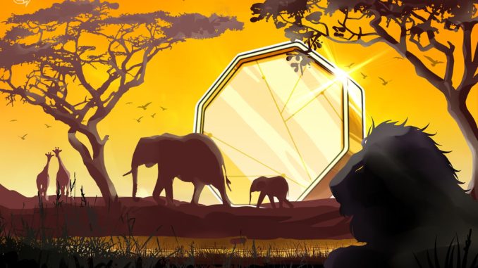 South Africans Can Now Pay With Crypto at 650,000 Stores