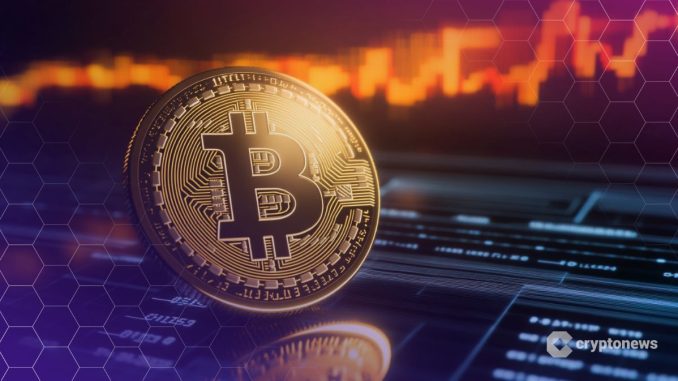 Data Shows Bitcoin Buyers Going All-In at Record Pace