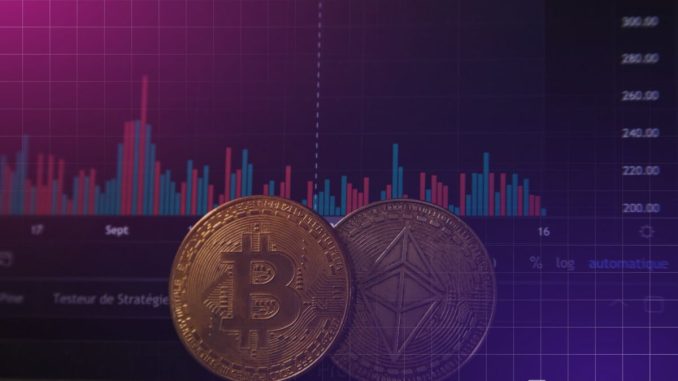 Margin Traders