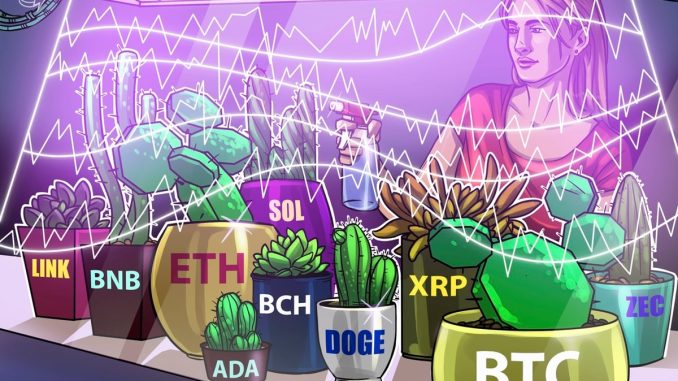 Price predictions 1/2: BTC, ETH, BNB, XRP, SOL, DOGE, ADA, BCH, LINK, ZEC