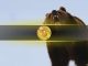Strengthening Dollar and OG Selling Pressure Keep Bitcoin Bears in Control 