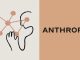 Anthropic sets out equity commitment for public benefit fund